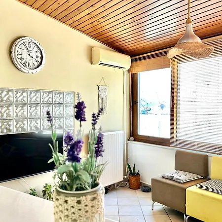 Sun Loving House *