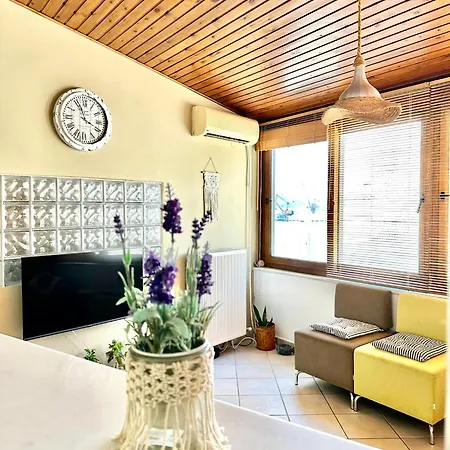 Sun Loving House